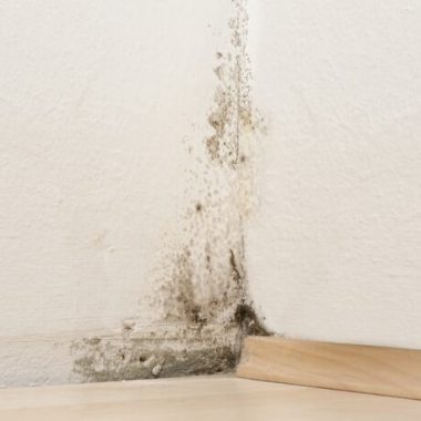 HET Likvisan biocídny prípravok proti plesniam a riasam